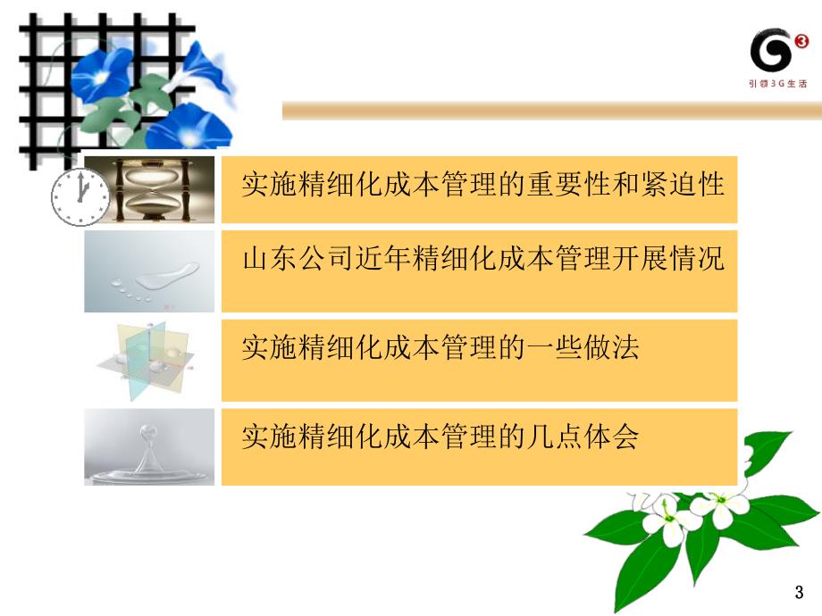 山东移动公司精细化管理推广材料.ppt_第3页