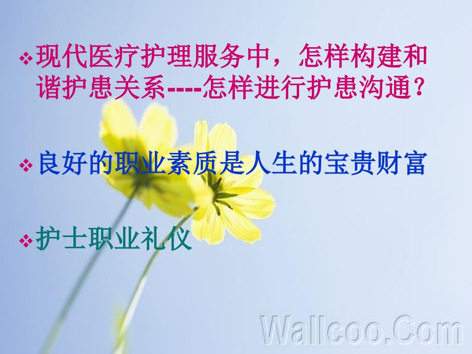 护士礼仪与沟通技巧.ppt_第2页
