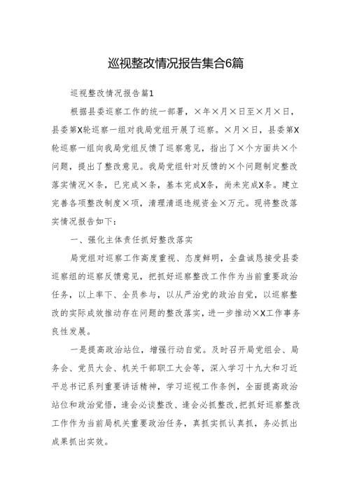 巡视整改情况报告集合 6篇.docx