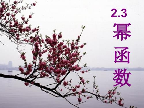 幂函数PPT课件.ppt