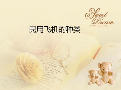 民用飞机的种类PPT课件.ppt