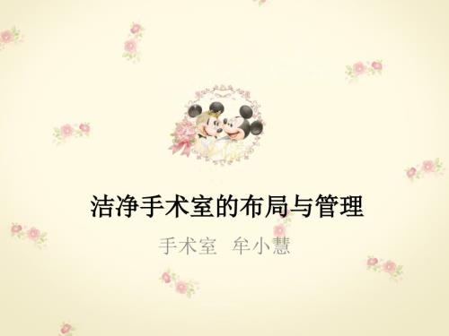 洁净手术室的布局与管理.ppt