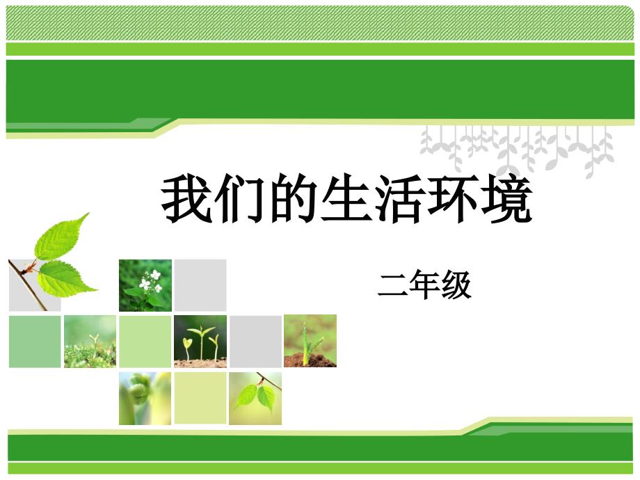 我们的生活环境PPT课件.ppt_第1页