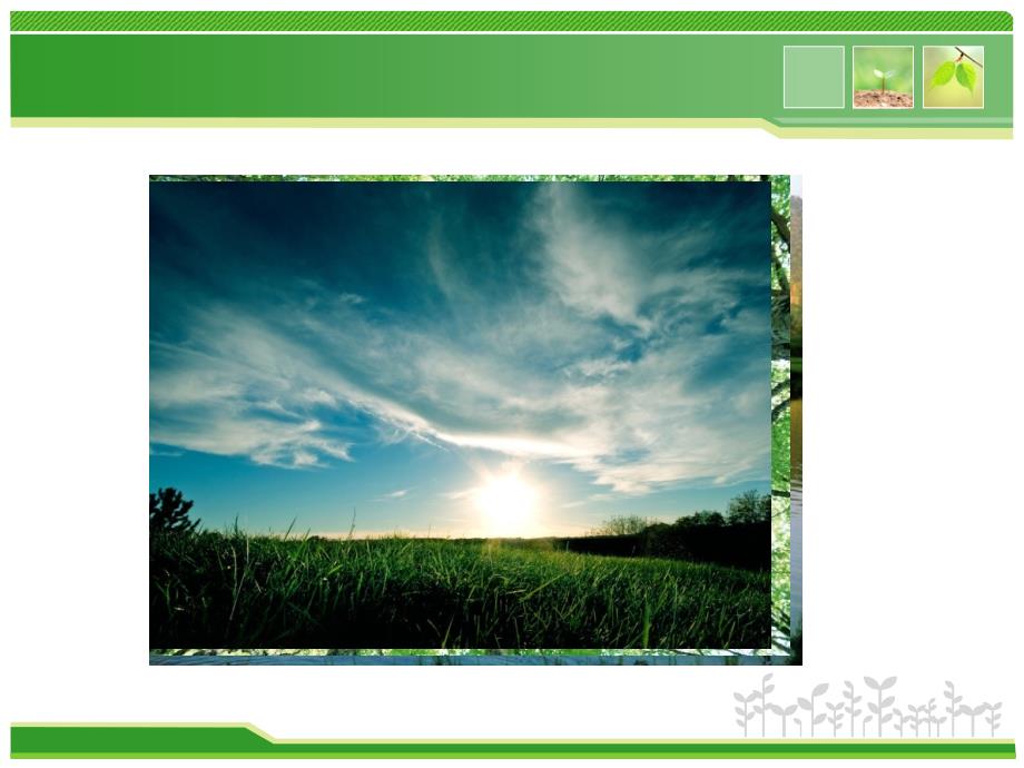 我们的生活环境PPT课件.ppt_第2页