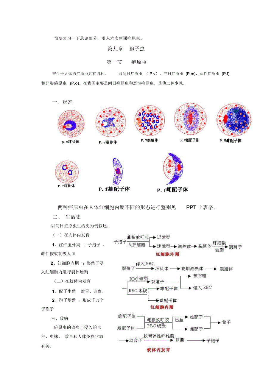 疟原虫教案第十二次课.doc_第3页