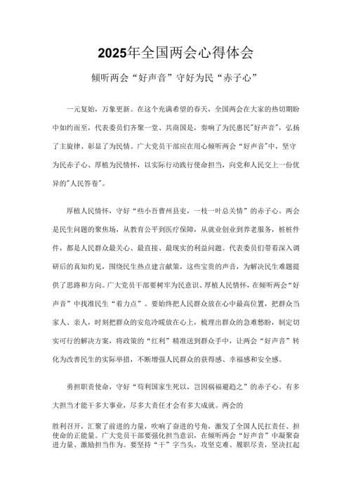 国企2025年两会发言稿最新多篇合集资料.docx