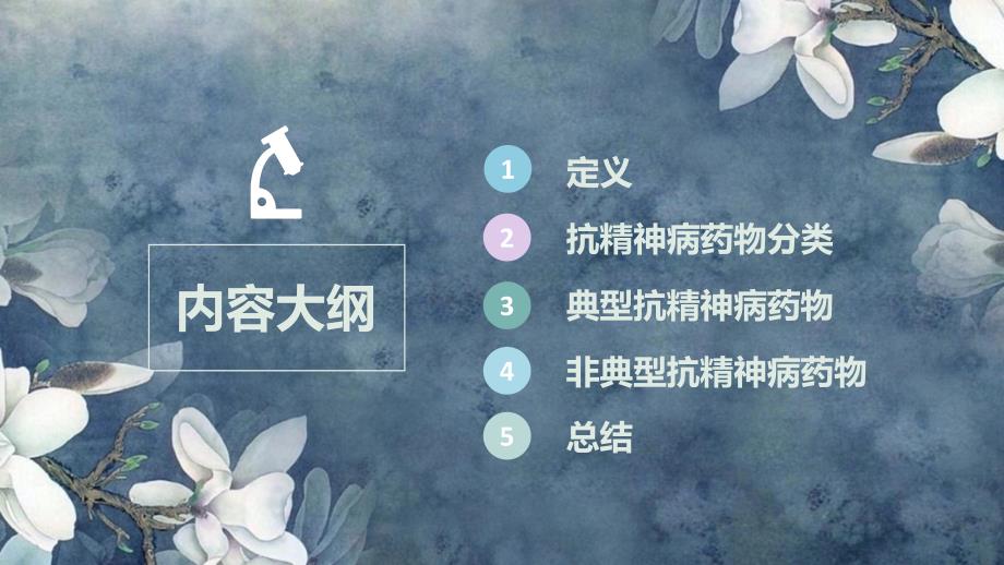 常用抗精神病药物PPT课件.pptx_第2页