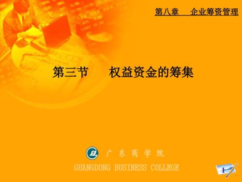 权益资金的筹集PPT课件.ppt