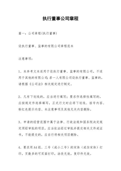 执行董事公司章程.docx
