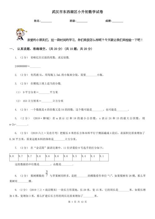 武汉市东西湖区小升初数学试卷.doc