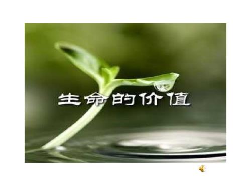 数字故事生命的价值.ppt