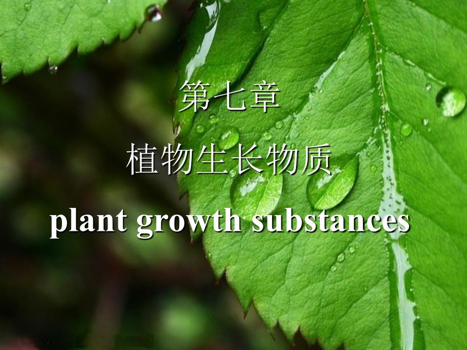 植物生理学第七章植物生长物质.ppt_第1页