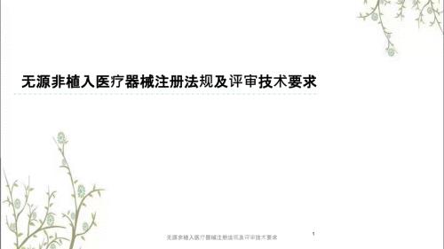 无源非植入医疗器械注册法规及评审技术要求.pptx