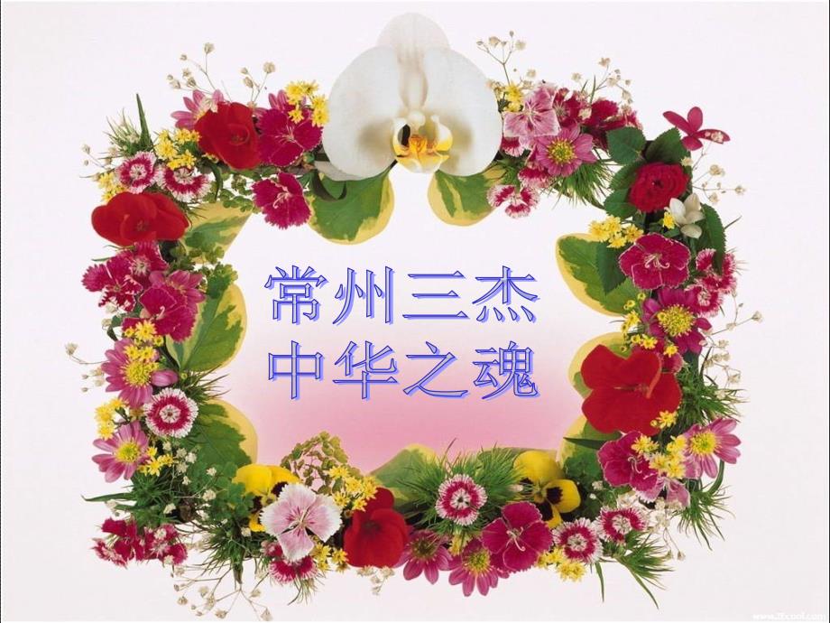 常州三杰的调查总结.ppt_第1页