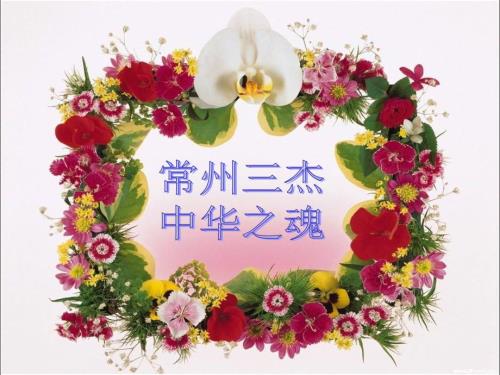 常州三杰的调查总结.ppt