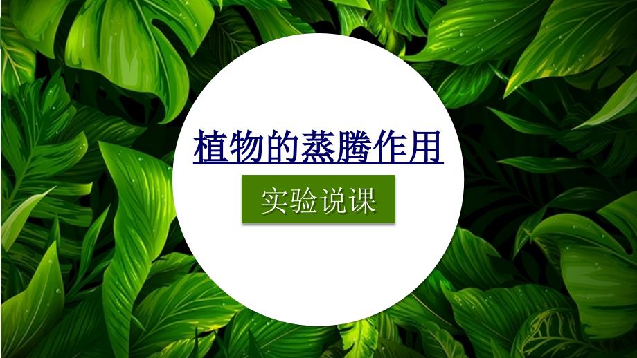 植物的蒸腾作用说课课件全国获奖实验说课案例.pptx_第1页