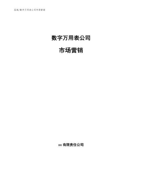 数字万用表公司市场营销参考.docx