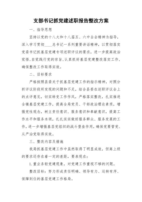 支部书记抓党建述职报告整改方案.doc