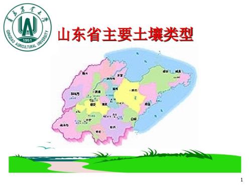 山东省主要土壤类型PPT演示课件.ppt