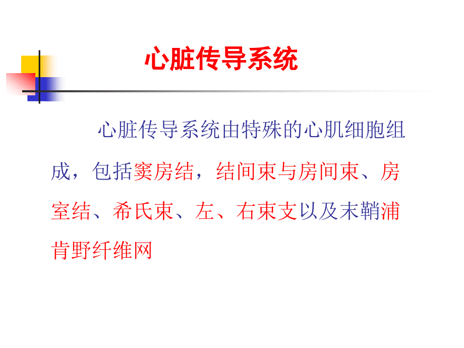 心律失常诊治进展ppt课件.ppt_第3页