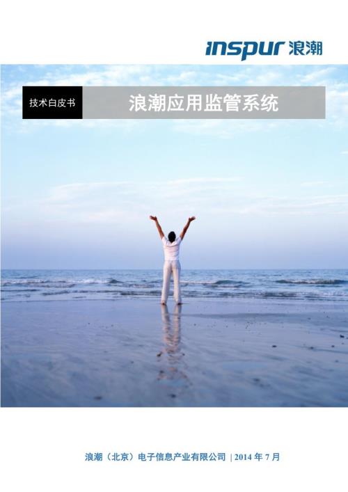 浪潮应用监管系统SSM技术白皮书.doc