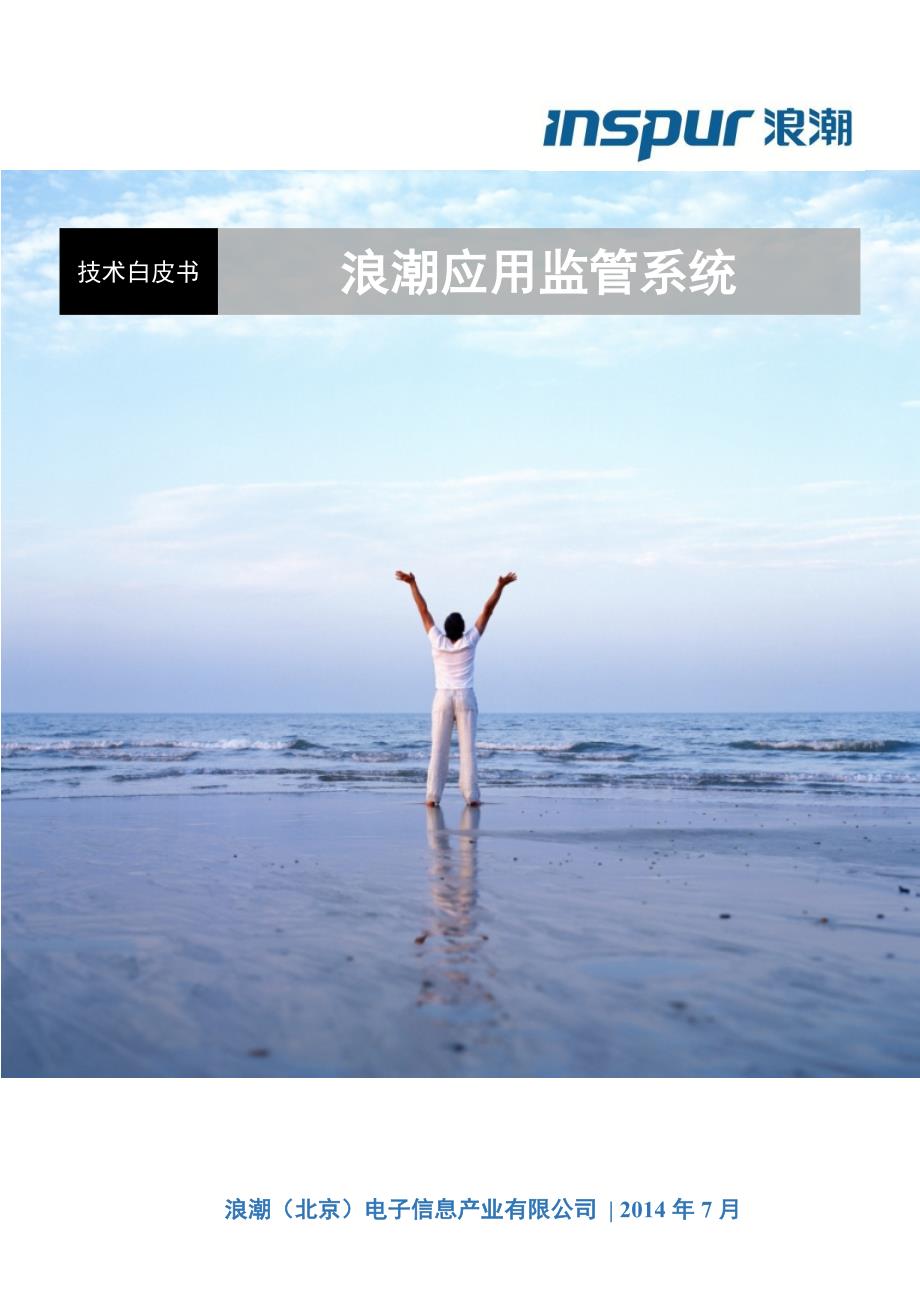 浪潮应用监管系统SSM技术白皮书.doc_第1页