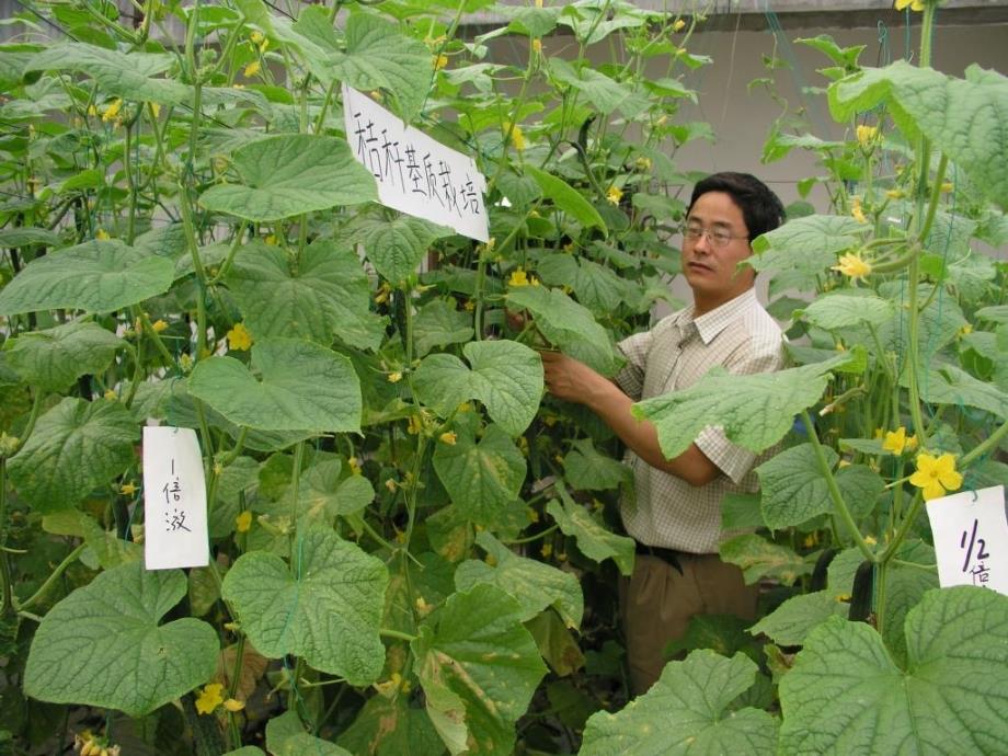 田间试验设计技术PPT课件.ppt_第2页