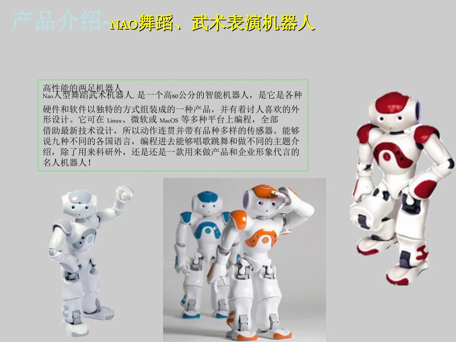 机器人表演介绍PPT.ppt_第3页