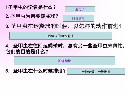 昆虫记练习题PPT课件.ppt