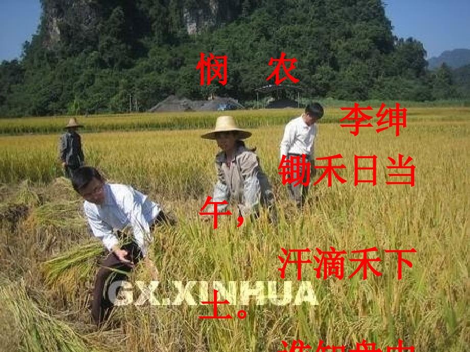 爱惜粮食从我做起课件.ppt_第2页