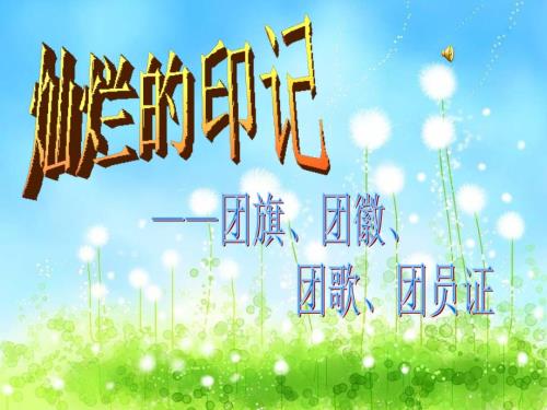灿烂的印记团旗团徽团歌团员证.ppt