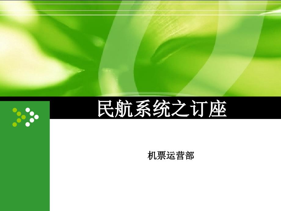 民航系统之订座技术经验.ppt_第1页