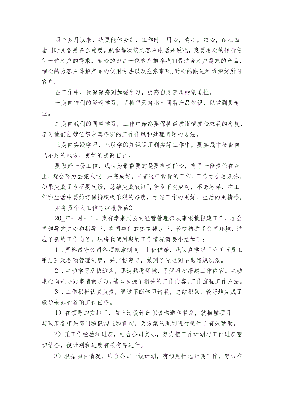 业务员个人工作总结报告（21篇）.docx_第2页