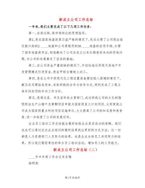 新成立公司工作总结4篇.doc