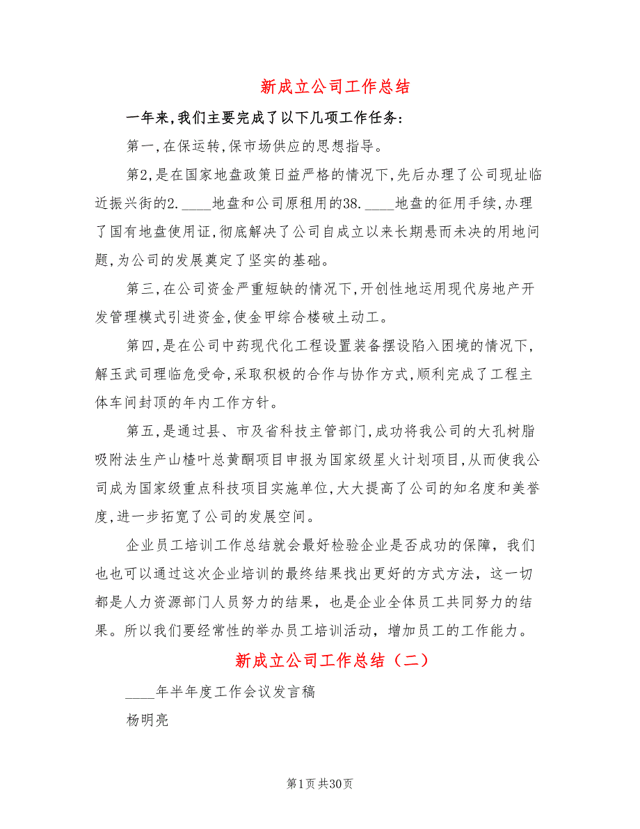 新成立公司工作总结4篇.doc_第1页