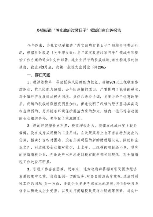 乡镇街道“落实政府过紧日子”领域自查自纠报告精选（5篇）.docx