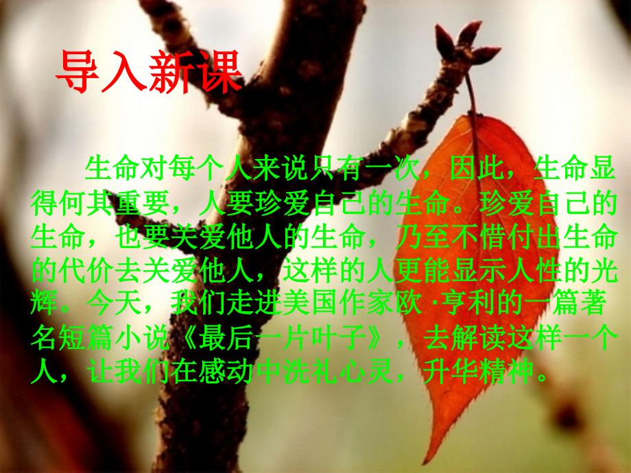 最后一片叶子PPT优秀课件.ppt_第1页