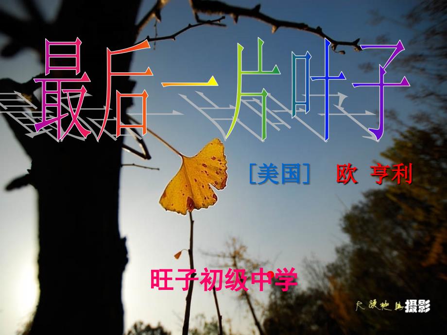 最后一片叶子PPT优秀课件.ppt_第2页