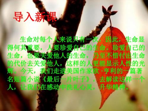 最后一片叶子PPT优秀课件.ppt