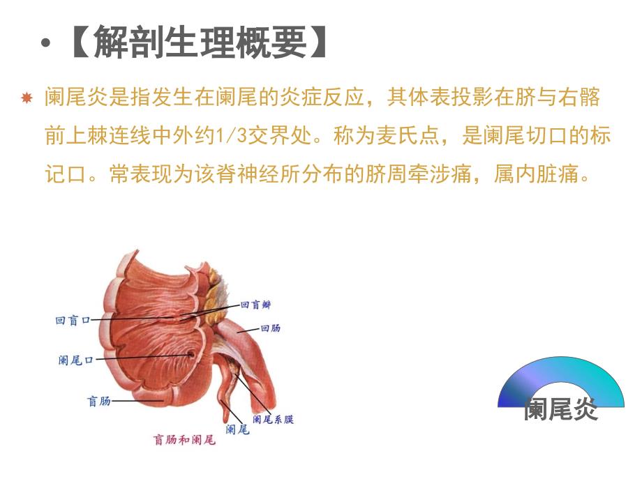 急性阑尾炎患者的护理PPT课件.ppt_第2页