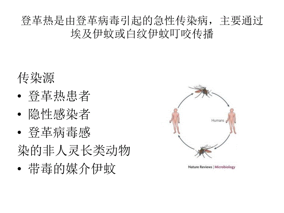 登革热PPT课件.ppt_第2页