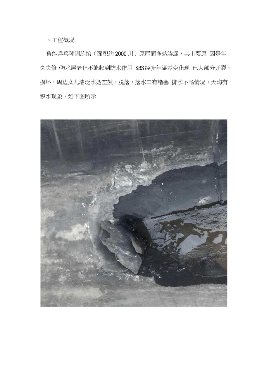 屋面防水维修施工方案完整版.doc_第2页