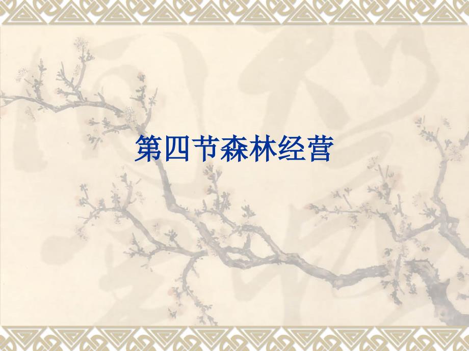 森林经营PPT课件.ppt_第1页