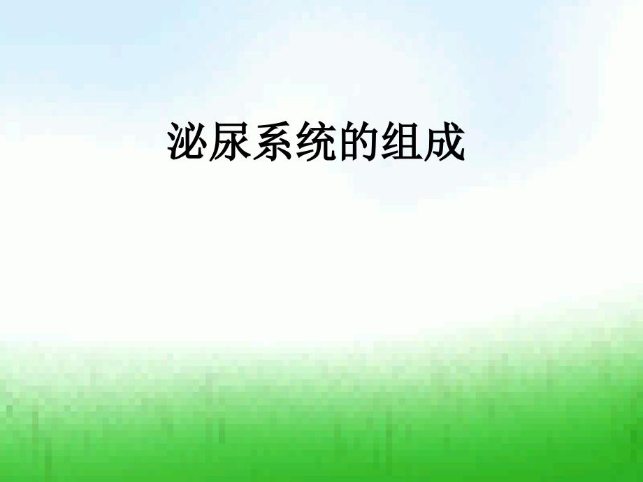 泌尿系统的组成PPT课件.ppt_第1页