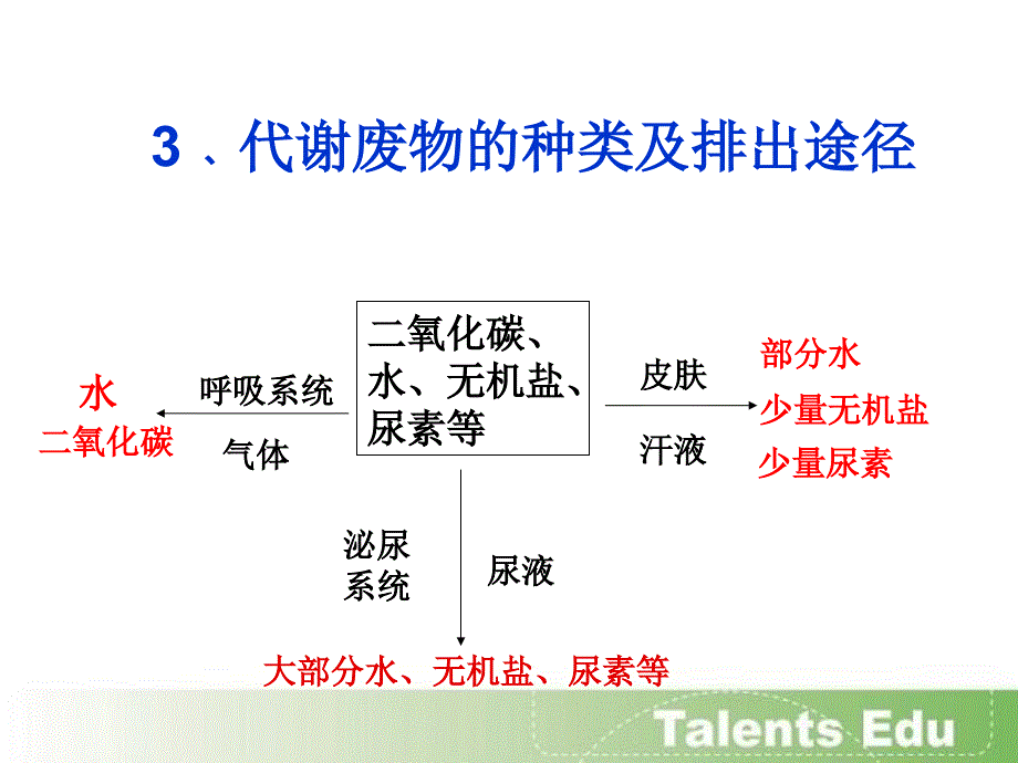 泌尿系统的组成PPT课件.ppt_第3页