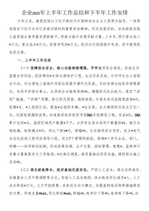 企业2025年上半年工作总结和下半年工作安排.docx