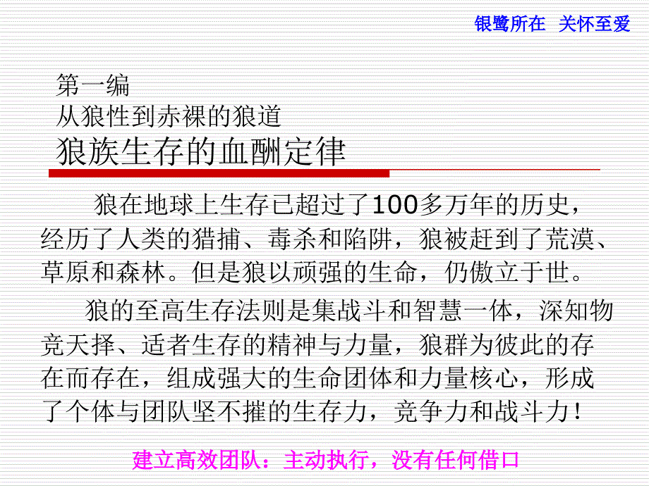 狼道全集PPT课件.ppt_第2页