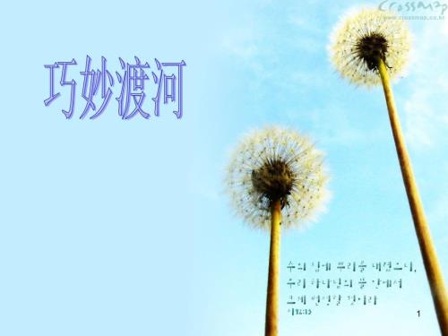 真趣味数学题五年级课堂PPT.ppt