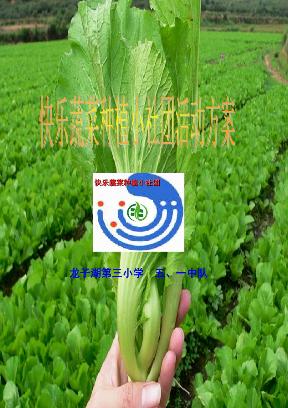 快乐蔬菜种植小社团活动方案.doc_第1页
