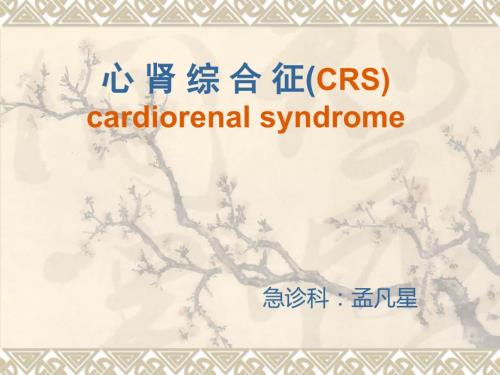 心肾综合征PPT课件.ppt